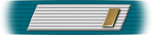 Ensign